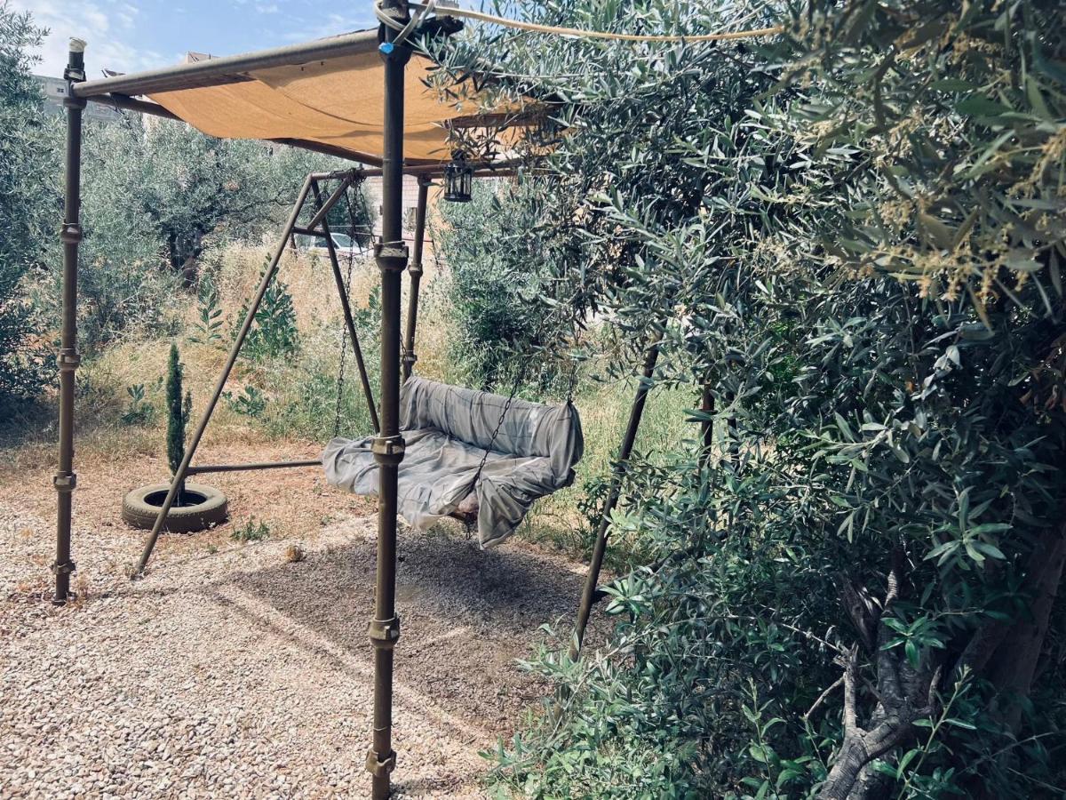 Ibn Khaldoon * Madaba