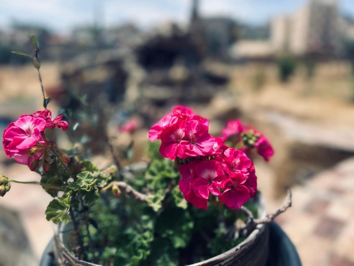 Homestay Ibn Khaldoon Madaba