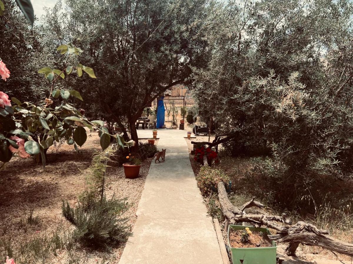 Accommodatie bij particulieren Ibn Khaldoon Madaba